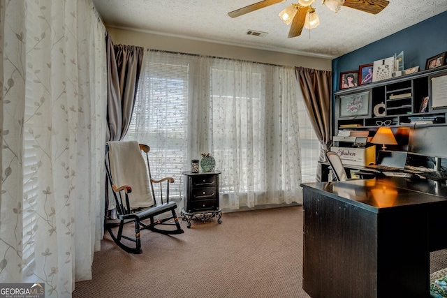 637 Lakeview Dr, Newborn, GA 30056 - office featuring carpet, a ceiling fan, and a textured ceiling