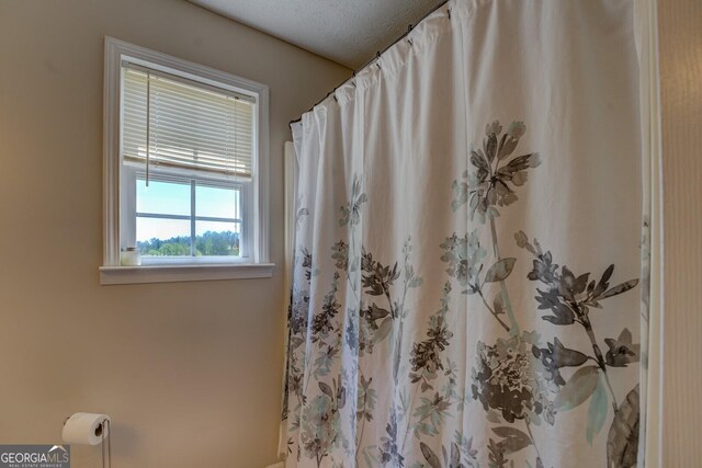 637 Lakeview Dr, Newborn, GA 30056 - bathroom with a shower with shower curtain
