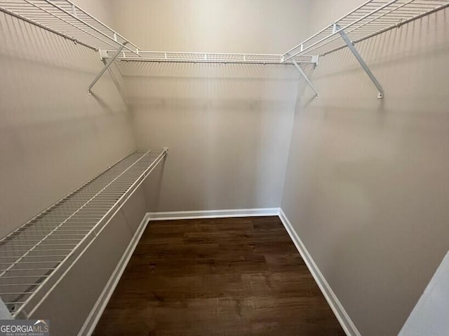 walk in closet with wood finished floors