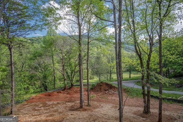 view of tree filled area