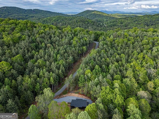 drone / aerial view of a forest and mountains