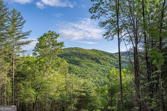 view of mountain backdrop with a forest