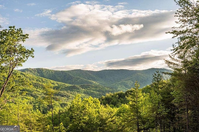 view of mountain backdrop featuring a heavily wooded area