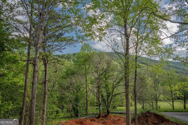 view of tree filled area