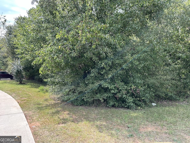 0 E Shoreview Rd, Mcdonough, GA 30253