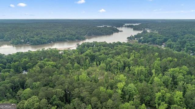 aerial view of a forest and a nearby body of water