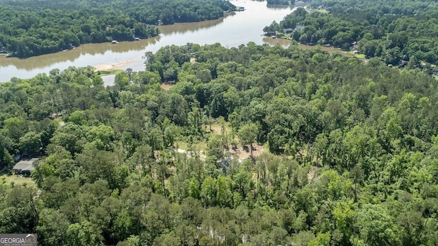 368 Henry Higgins Rd, Jackson, GA 30233 - aerial view of property and surrounding area featuring a forest and a nearby body of water