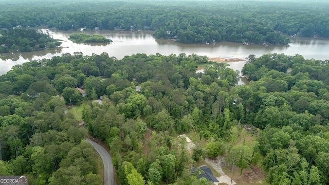 aerial view of a large body of water and a heavily wooded area