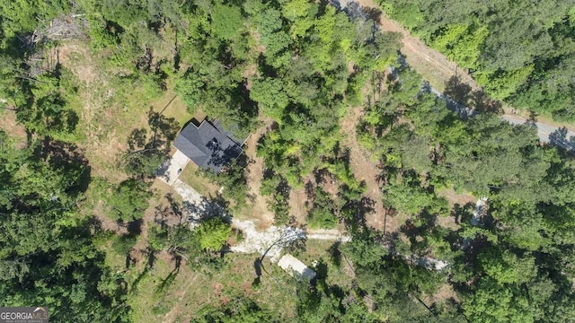 368 Henry Higgins Rd, Jackson, GA 30233 - aerial overview of property's location