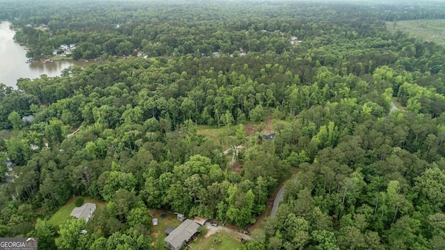 368 Henry Higgins Rd, Jackson, GA 30233 - view of property location with a forest and a nearby body of water