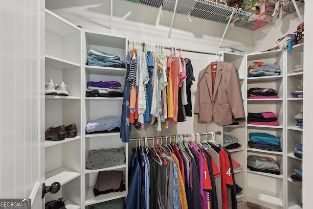view of walk in closet