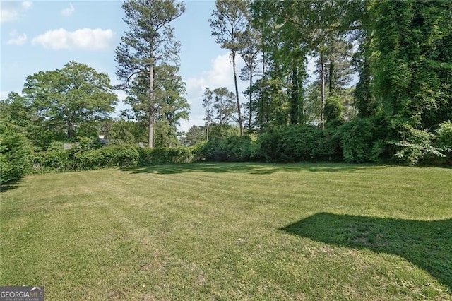 view of green lawn