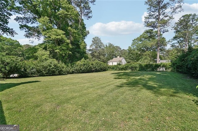 view of grassy yard