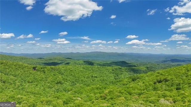 mountain view featuring a forest