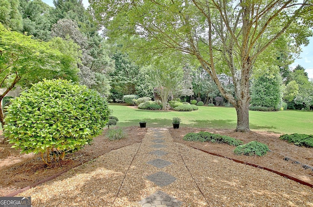 surrounding community with a yard