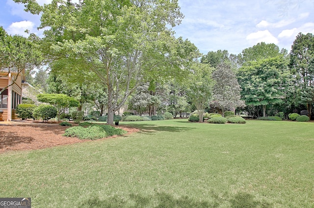 view of green lawn with view of wooded area