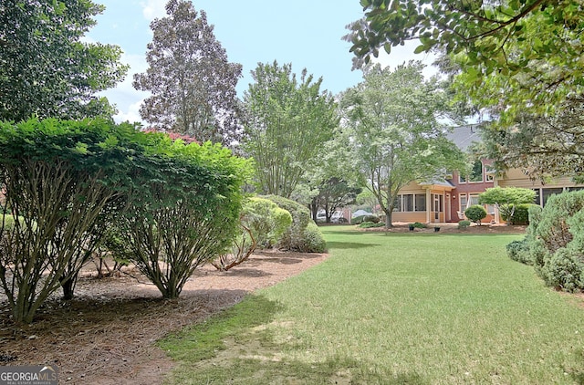 view of green lawn