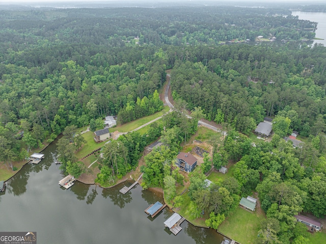 aerial overview of property's location featuring a nearby body of water and a forest