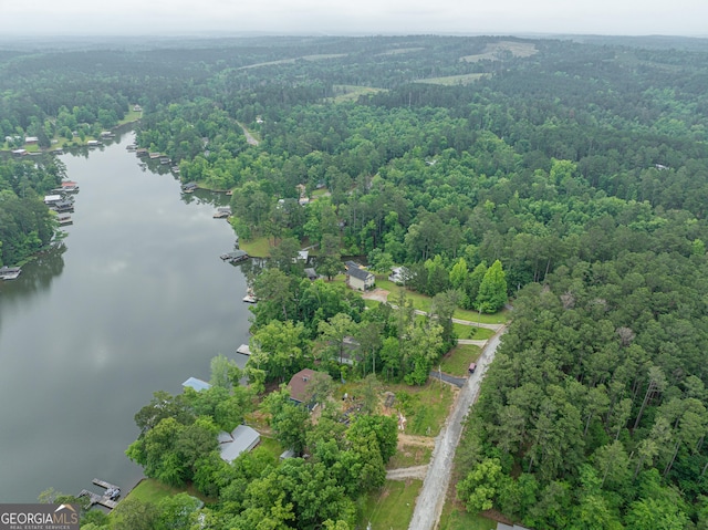 aerial overview of property's location with a large body of water and a forest