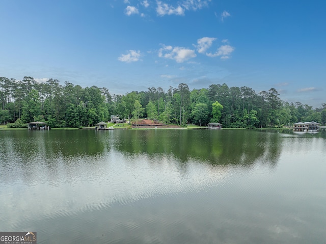 water view with a forest