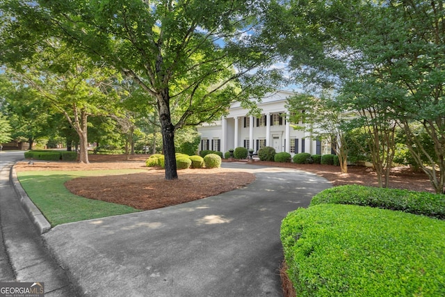 view of front of house featuring curved driveway