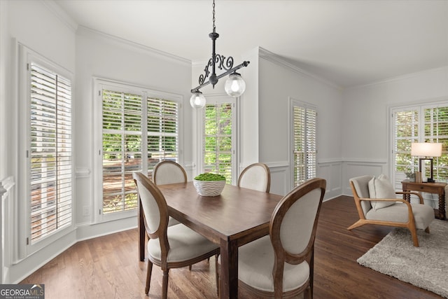dining space featuring crown molding, wood finished floors, and wainscoting