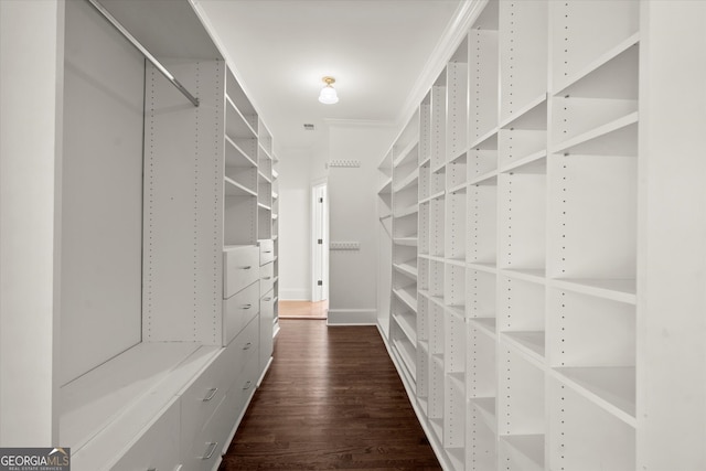 walk in closet with dark wood-style flooring