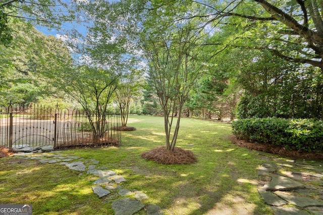 view of yard