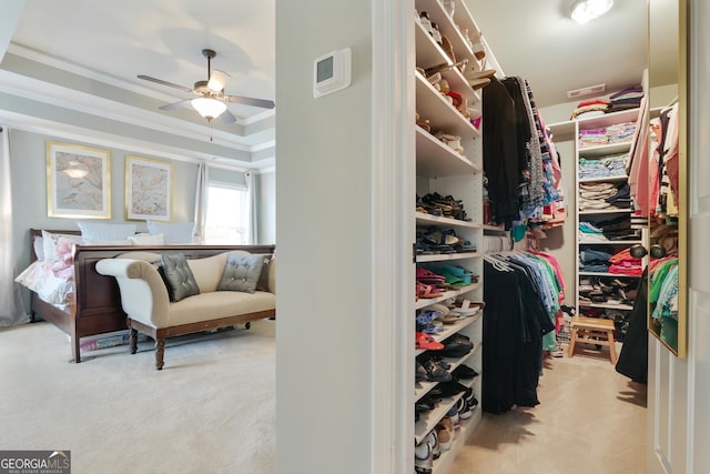 655 Grove Manor Ct, Suwanee, GA 30024 - walk in closet featuring carpet floors, ceiling fan, and a tray ceiling