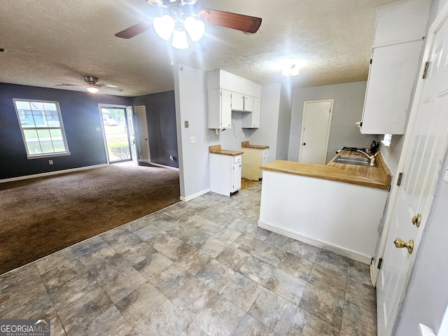 kitchen with a textured ceiling, ceiling fan, a sink, light colored carpet, and baseboards