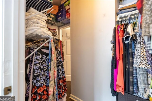 2700 Pine Tree Rd NE Unit 2204, Atlanta, GA 30324 - view of spacious closet
