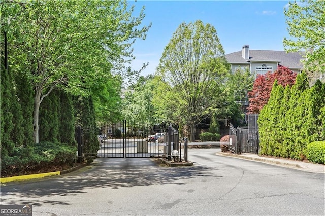 2700 Pine Tree Rd NE Unit 2204, Atlanta, GA 30324 - view of gate