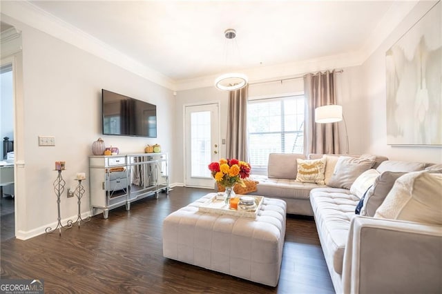 2700 Pine Tree Rd NE Unit 2204, Atlanta, GA 30324 - living area featuring ornamental molding and dark wood-style flooring