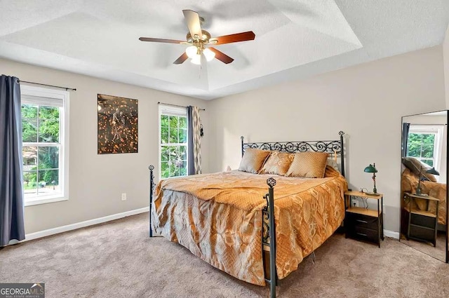 bedroom with carpet floors, baseboards, and a raised ceiling
