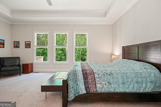 2861 Digna Ct, Acworth, GA 30101 - bedroom featuring ornamental molding, carpet floors, a tray ceiling, and ceiling fan