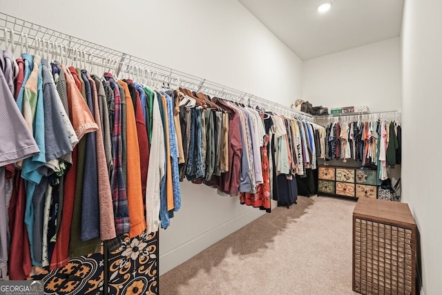 2861 Digna Ct, Acworth, GA 30101 - walk in closet with carpet flooring