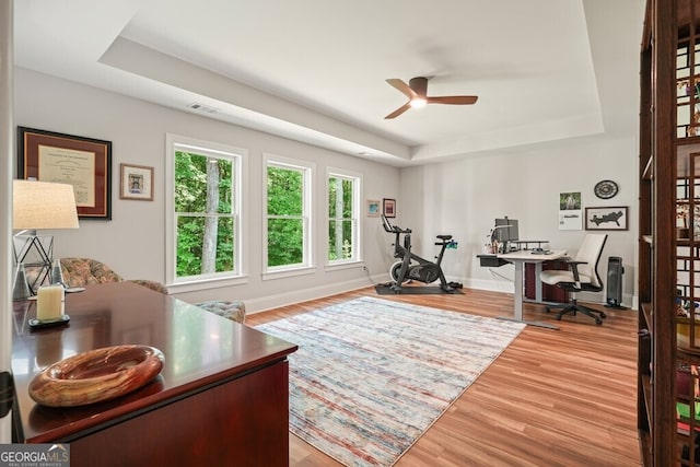 2861 Digna Ct, Acworth, GA 30101 - office space with a raised ceiling, ceiling fan, and wood finished floors