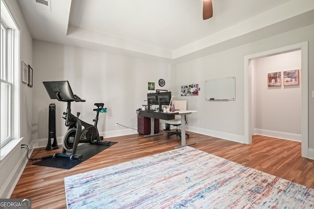 2861 Digna Ct, Acworth, GA 30101 - home office with wood finished floors, ceiling fan, and a tray ceiling