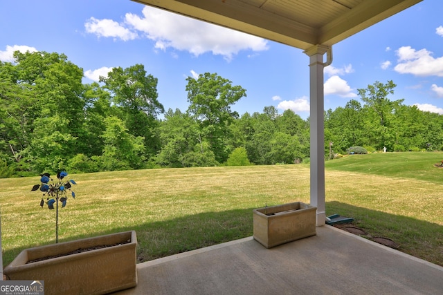 778 Firefly Ct, Griffin, GA 30223 - view of green lawn featuring a patio area