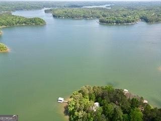 drone / aerial view of a forest and a nearby body of water