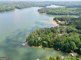 aerial view of a forest and a nearby body of water