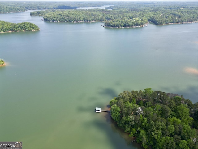 aerial view of a forest and a large body of water