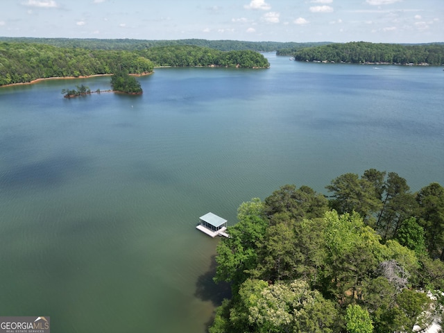 drone / aerial view of a forest and a nearby body of water
