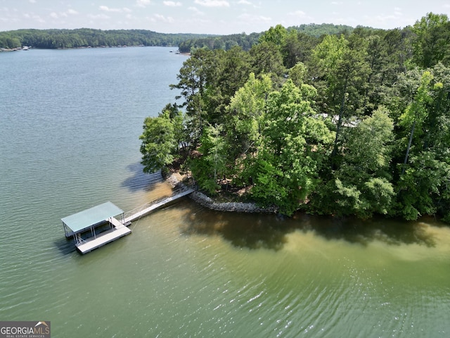 water view with a forest and a dock