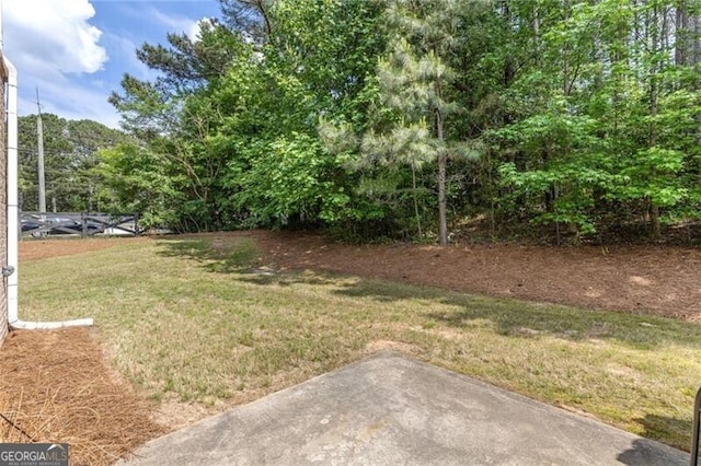 2033 Millstream Holw, Conyers, GA 30012 - view of green lawn