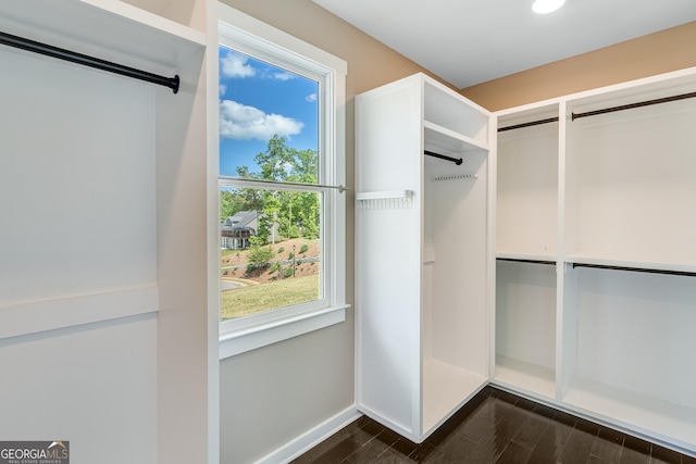 spacious closet with dark wood finished floors