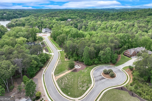 bird's eye view of a forest