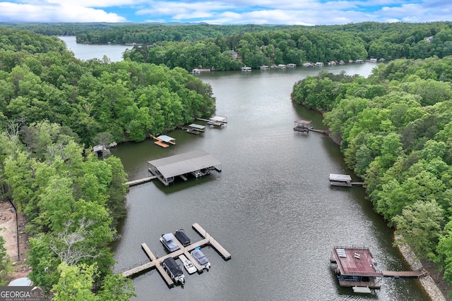 bird's eye view of a large body of water and a forest