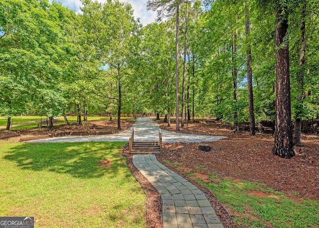 142 Hugh Dorsey Rd, Hartwell, GA 30643 - view of property's community featuring a yard