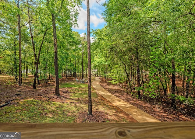 142 Hugh Dorsey Rd, Hartwell, GA 30643 - view of surrounding community